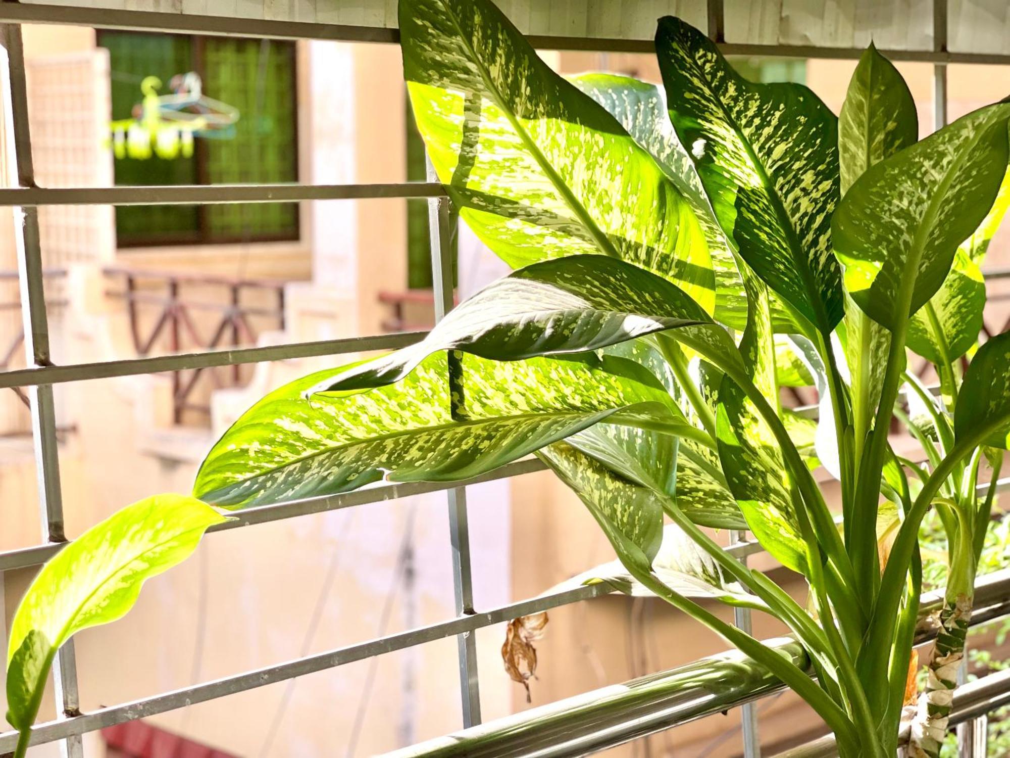 Sky Hotel Central Phnom Penh - Rooms & Apartments Ngoại thất bức ảnh